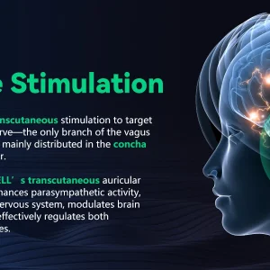 Vagus Nerve Stimulation for Deep Sleep - Thumbnail Image 8